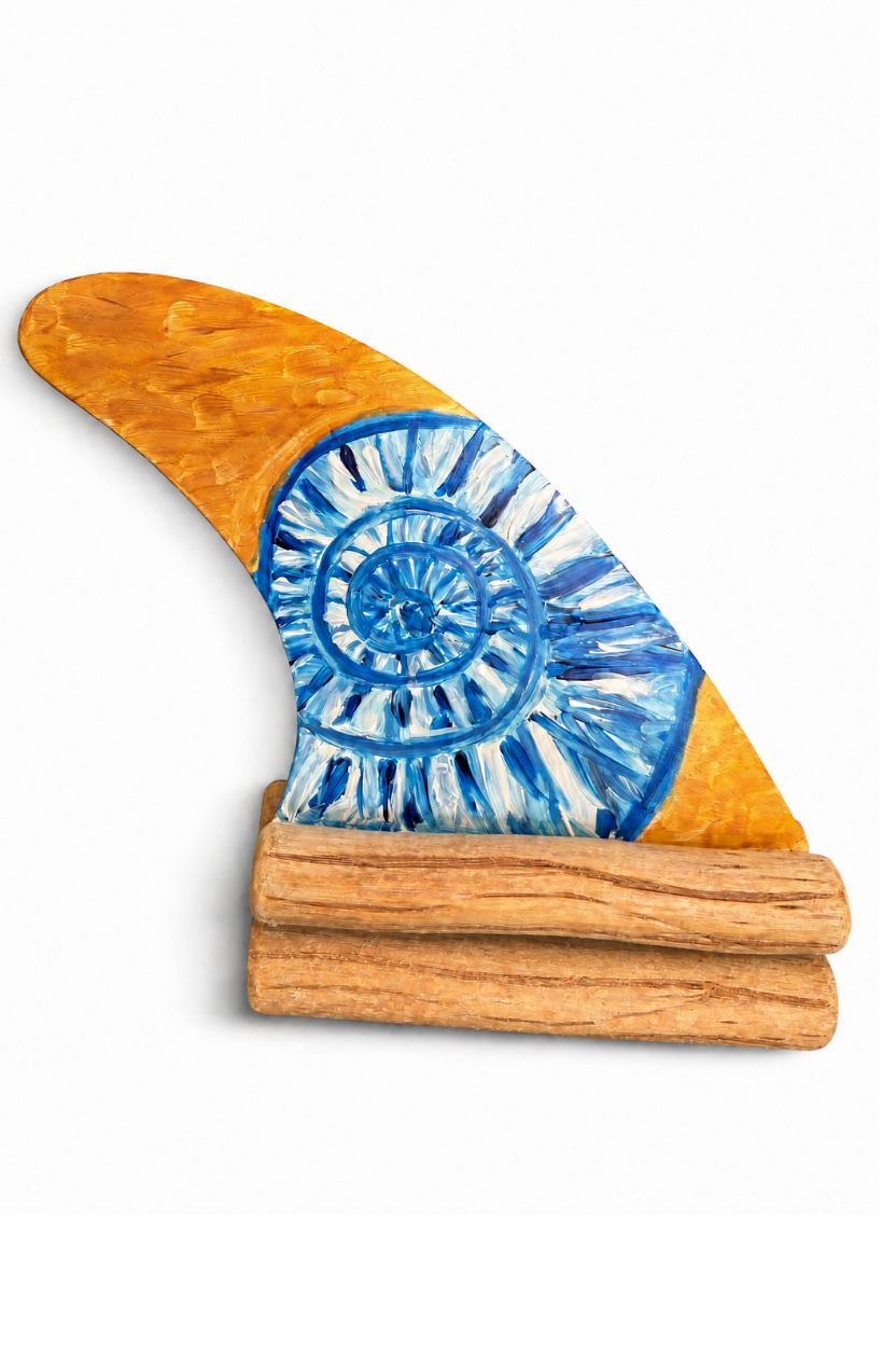 The Nautilus Shell Surf Fin